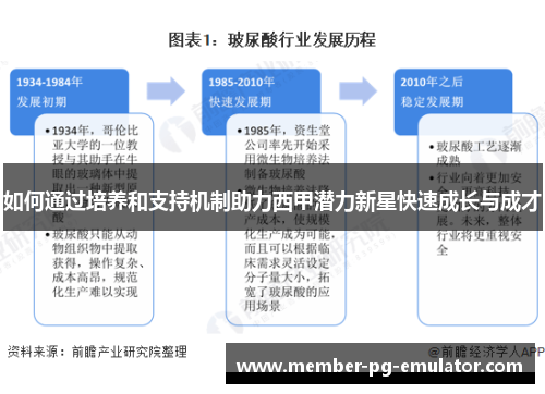 如何通过培养和支持机制助力西甲潜力新星快速成长与成才