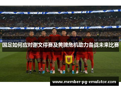国足如何应对谢文停赛及黄牌危机助力备战未来比赛