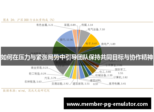 如何在压力与紧张局势中引导团队保持共同目标与协作精神