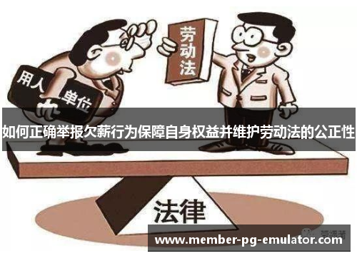 如何正确举报欠薪行为保障自身权益并维护劳动法的公正性