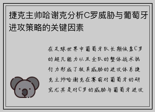 捷克主帅哈谢克分析C罗威胁与葡萄牙进攻策略的关键因素