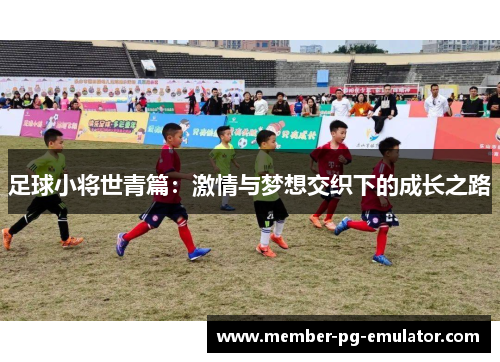 足球小将世青篇：激情与梦想交织下的成长之路