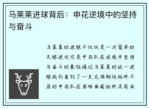 马莱莱进球背后：申花逆境中的坚持与奋斗
