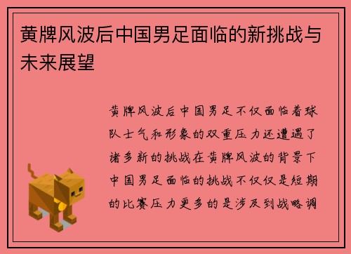 黄牌风波后中国男足面临的新挑战与未来展望